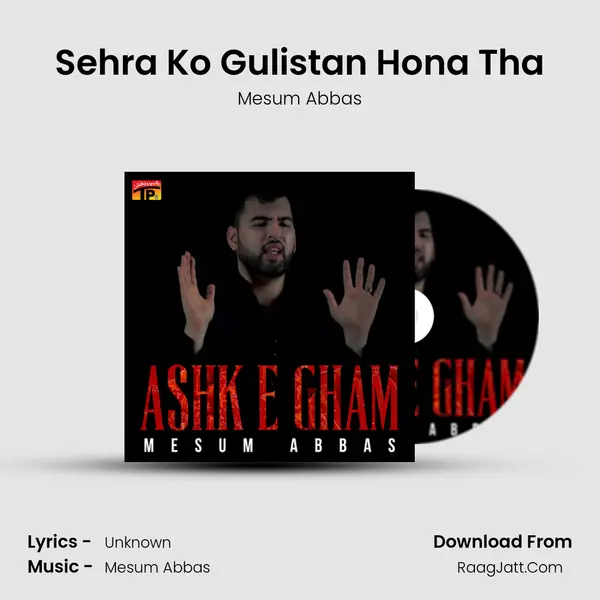 Sehra Ko Gulistan Hona Tha mp3 song
