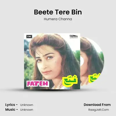 Beete Tere Bin mp3 song