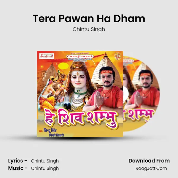 Tera Pawan Ha Dham MP3 Song by Chintu Singh Cover