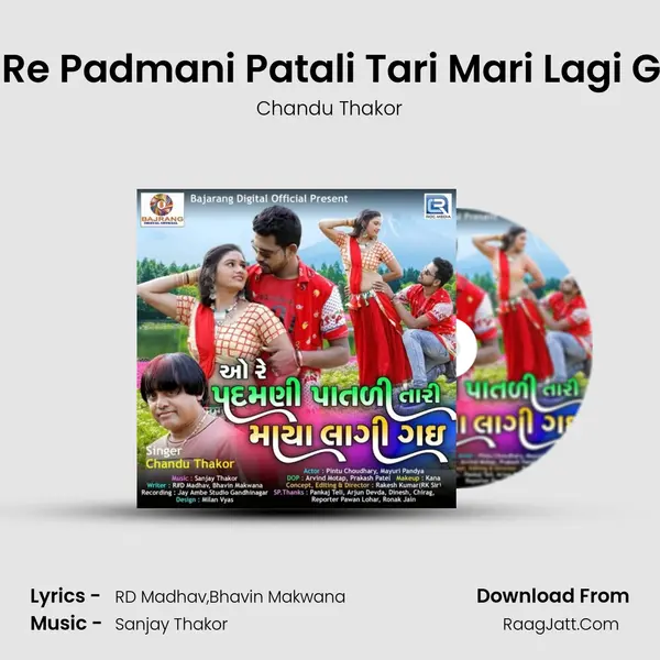 O Re Padmani Patali Tari Mari Lagi Gai mp3 song