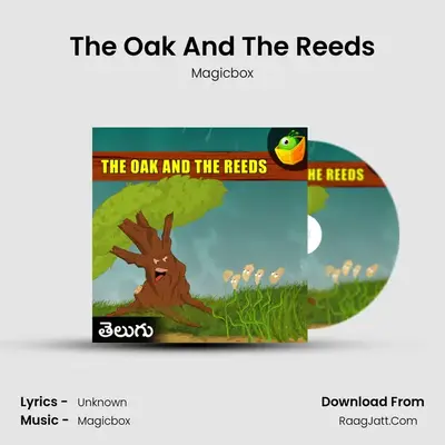 The Oak And The Reeds - Magicbox