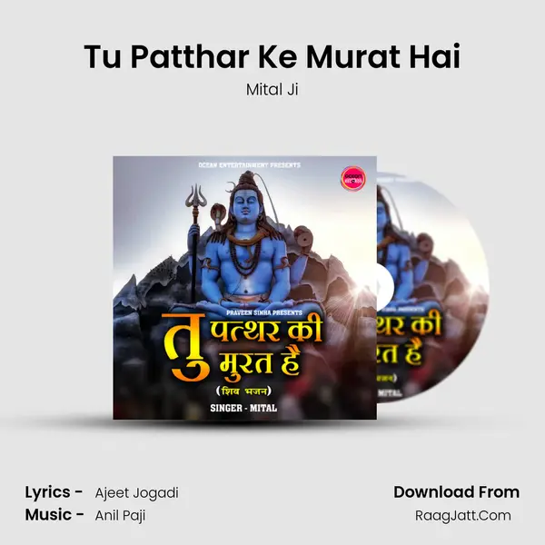 Anil Paji