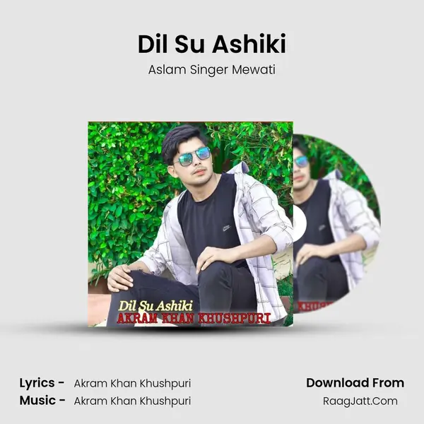 Dil Su Ashiki mp3 song