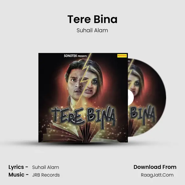 Tere Bina - Suhail Alam