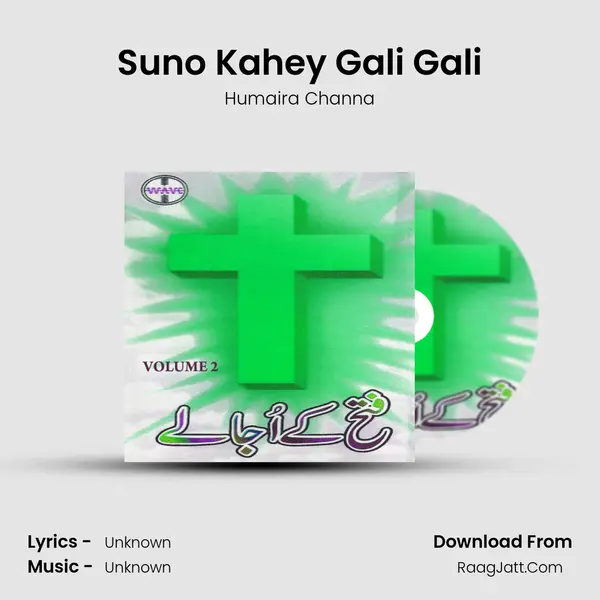 Suno Kahey Gali Gali Cover