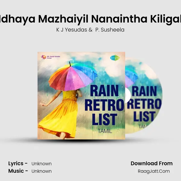Idhaya Mazhaiyil Nanaintha Kiligal Cover
