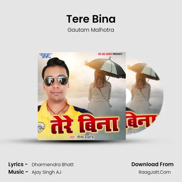 Tere Bina MP3 Song by Gautam Malhotra Cover