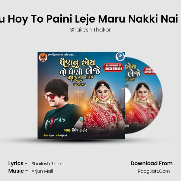 Painavu Hoy To Paini Leje Maru Nakki Nai Track 3 - Shailesh Thakor