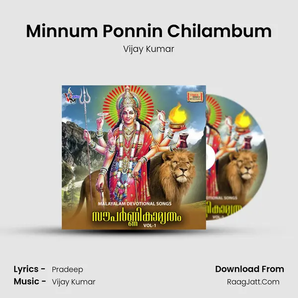 Minnum Ponnin Chilambum MP3 Song by Vijay Kumar Cover