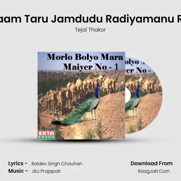 Jaam Taru Jamdudu Radiyamanu Re MP3 Song by Tejal Thakor Cover