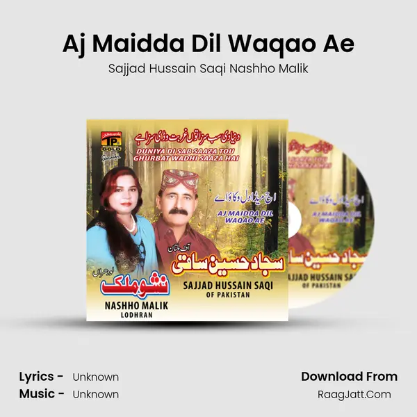 Aj Maidda Dil Waqao Ae MP3 Song by Sajjad Hussain Saqi Nashho Malik Cover