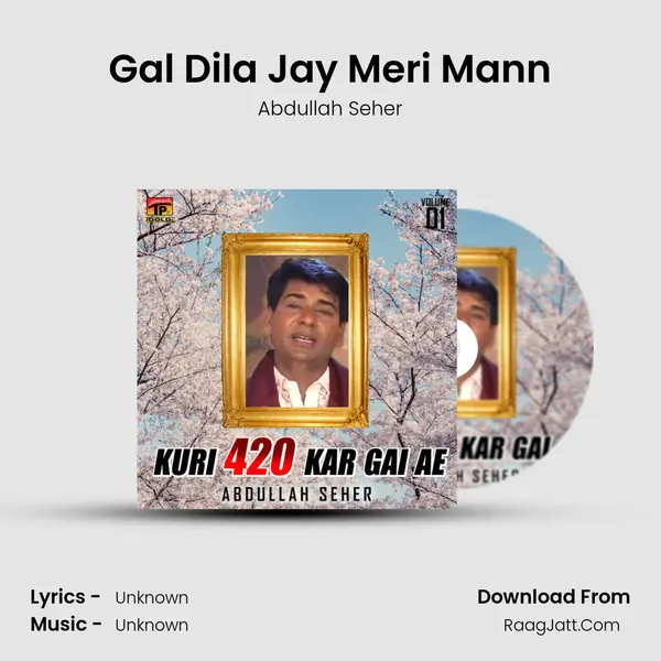 Gal Dila Jay Meri Mann MP3 Song by Abdullah Seher Cover