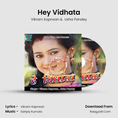 Hey Vidhata MP3 Song by Vikram Kaprwan Cover