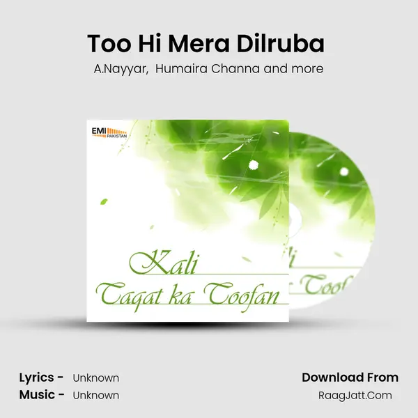 Too Hi Mera Dilruba (From 