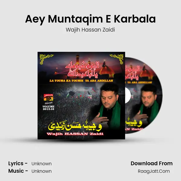 Aey Muntaqim E Karbala MP3 Song by Wajih Hassan Zaidi Cover