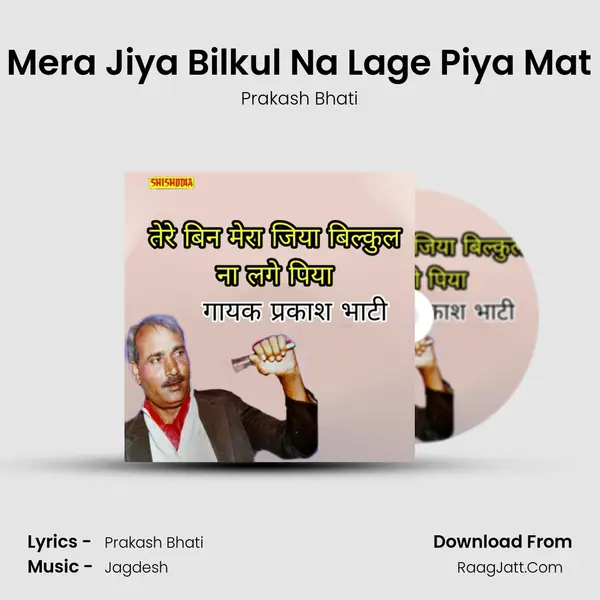 Tere Bin Mera Jiya Bilkul Na Lage Piya Mat NA Karo mp3 song