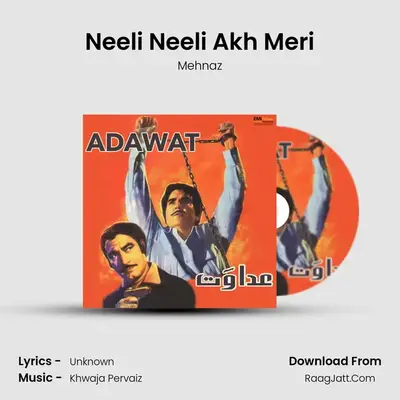 Neeli Neeli Akh Meri mp3 song