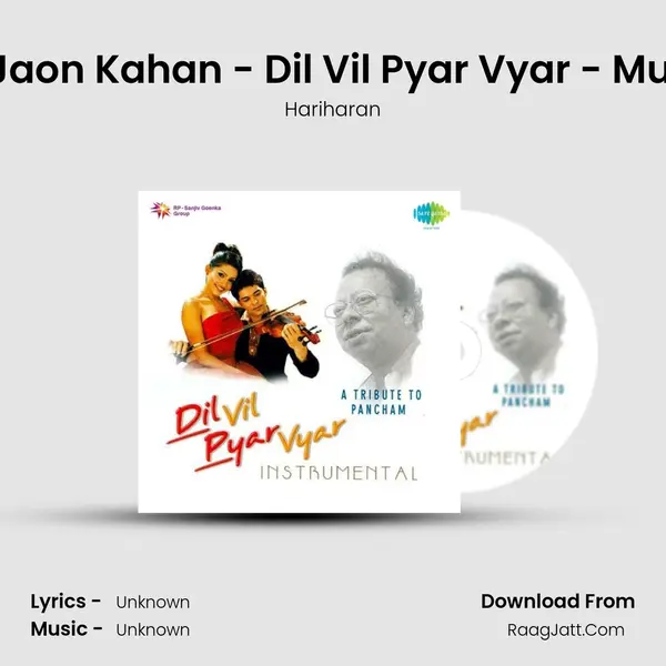 Tum Bin Jaon Kahan - Dil Vil Pyar Vyar - Music Track MP3 Song by Hariharan Cover