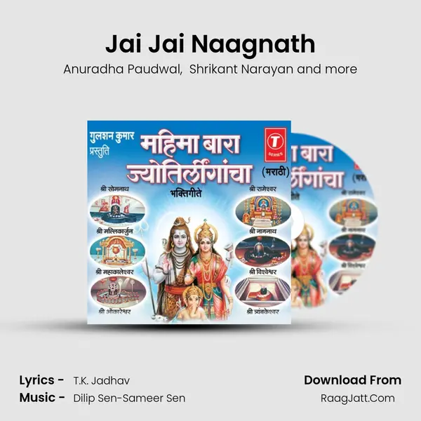 Jai Jai Naagnath MP3 Song by Anuradha Paudwal Cover