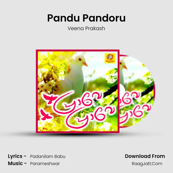Pandu Pandoru MP3 Song by Veena Prakash Cover
