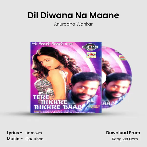 Dil Diwana Na Maane mp3 song