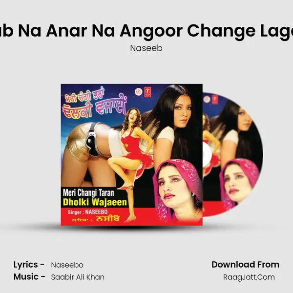 Sab Na Anar Na Angoor Change Lagde MP3 Song by Naseeb Cover