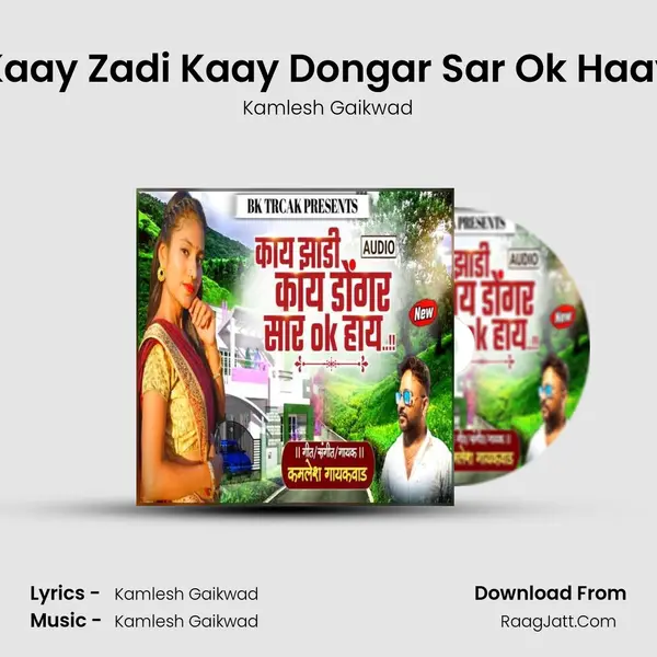 Kaay Zadi Kaay Dongar Sar Ok Haay mp3 song