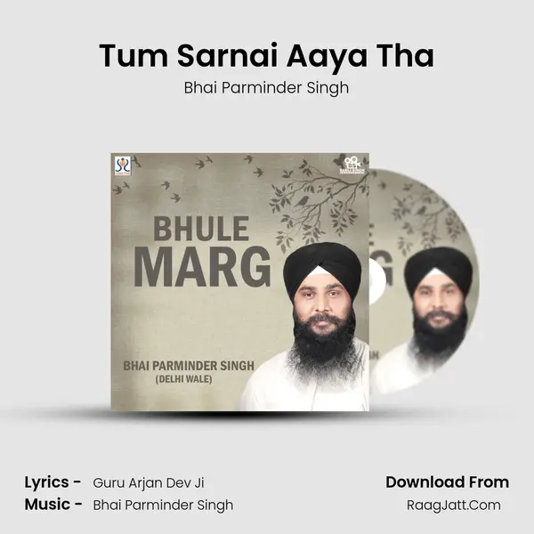 Tum Sarnai Aaya Tha mp3 song