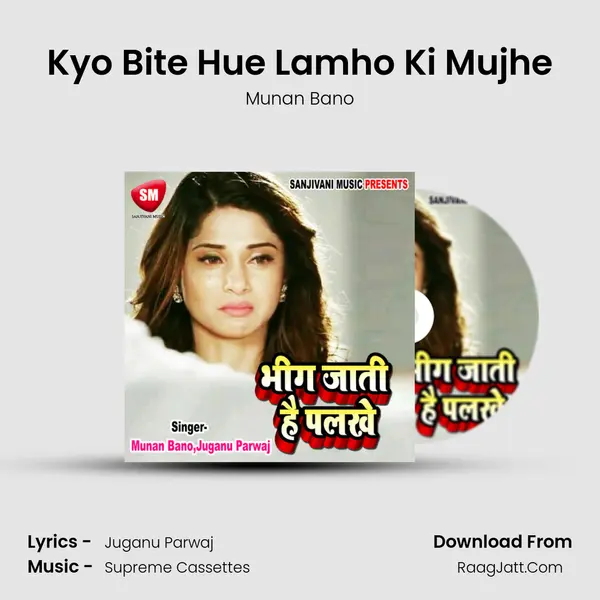 Kyo Bite Hue Lamho Ki Mujhe MP3 Song by Munan Bano Cover