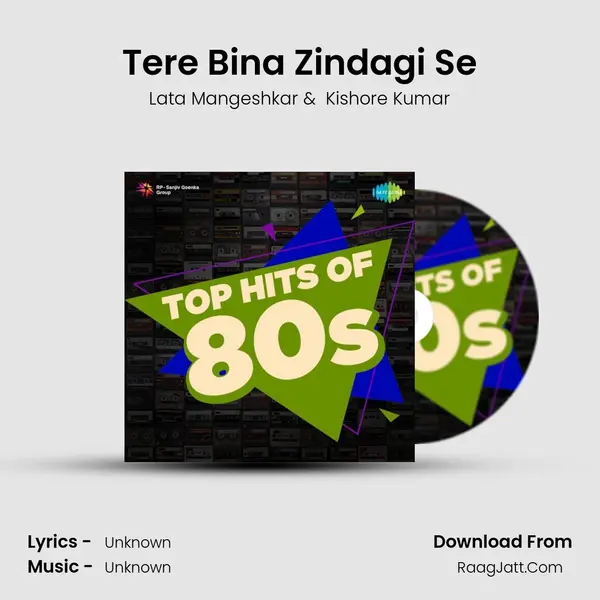 Tere Bina Zindagi Se Cover