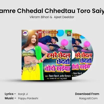 Hamre Chhedal Chhedtau Toro Saiya MP3 Song by Vikram Bihari Cover