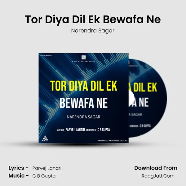 Tor Diya Dil Ek Bewafa Ne mp3 song