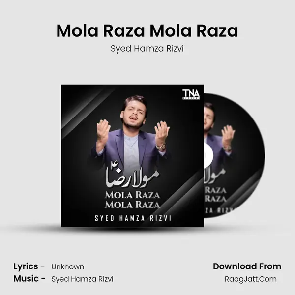 Mola Raza Mola Raza - Single - Syed Hamza Rizvi