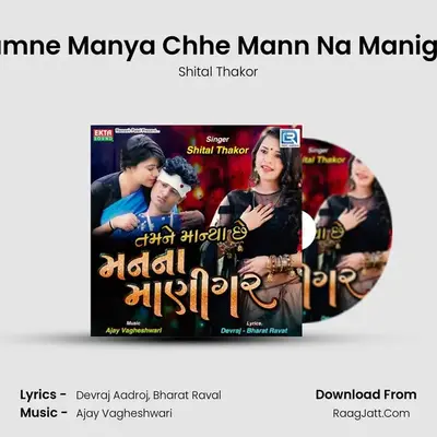 Tamne Manya Chhe Mann Na Manigar - Shital Thakor