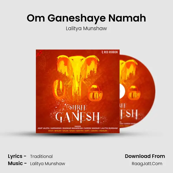 Om Ganeshaye Namah Cover