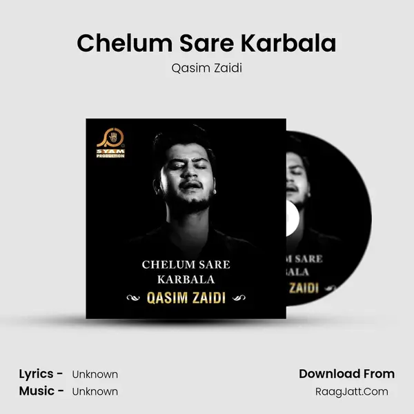 Chelum Sare Karbala MP3 Song by Qasim Zaidi Cover
