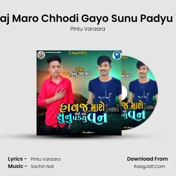 Havaj Maro Chhodi Gayo Sunu Padyu Van MP3 Song by Pintu Vanzara Cover