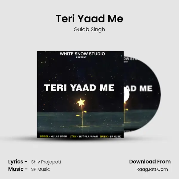 Teri Yaad Me mp3 song