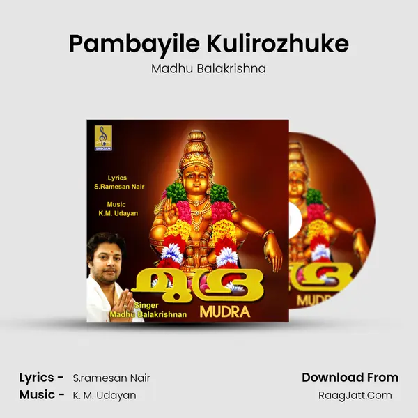 Pambayile Kulirozhuke MP3 Song by Madhu Balakrishna Cover