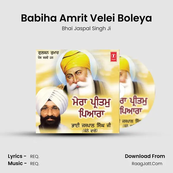 Babiha Amrit Velei Boleya mp3 song