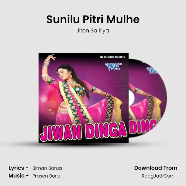 Sunilu Pitri Mulhe MP3 Song by Jiten Saikiya Cover