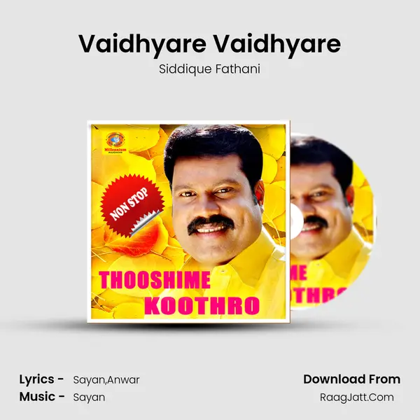 Vaidhyare Vaidhyare MP3 Song by Siddique Fathani Cover