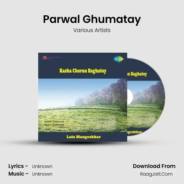 Parwal Ghumatay MP3 Song by Various Artists Cover