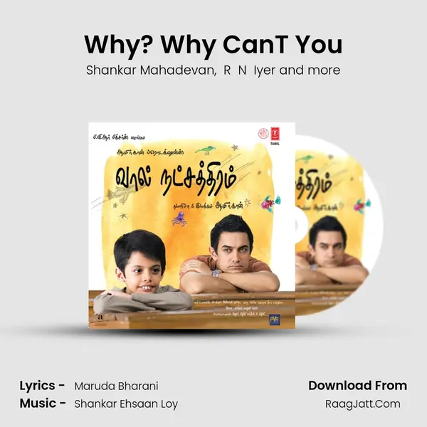 Why? Why Can&#x27;T You mp3 song