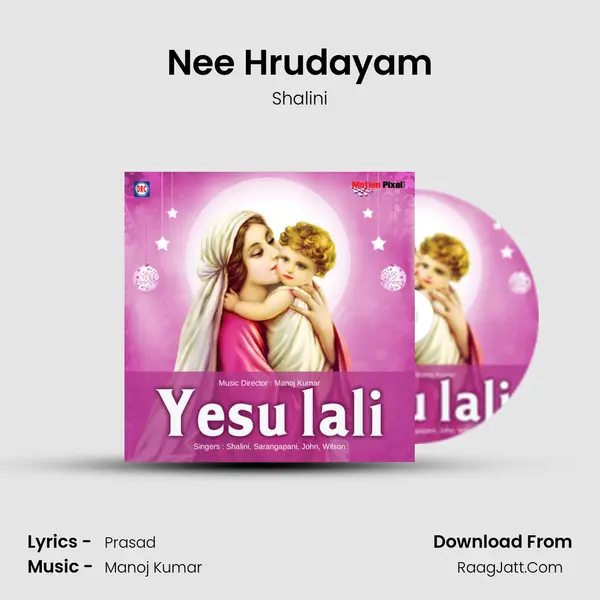 Nee Hrudayam MP3 Song by Shalini Cover