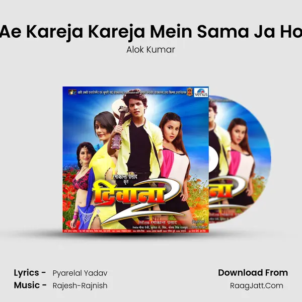 Ae Kareja Kareja Mein Sama Ja Ho MP3 Song by Alok Kumar Cover