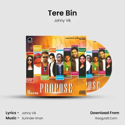 Tere Bin MP3 Song by Johny Vik Cover