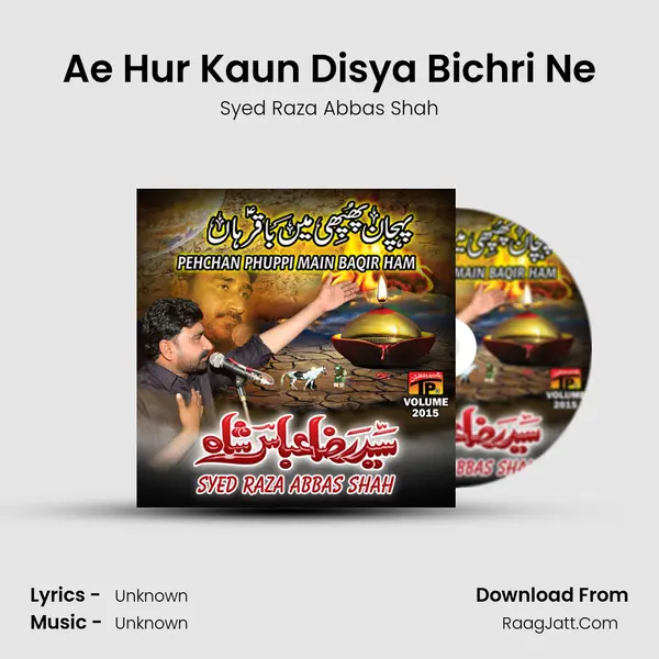 Ae Hur Kaun Disya Bichri Ne MP3 Song by Syed Raza Abbas Shah Cover