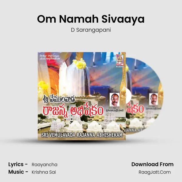 Om Namah Sivaaya MP3 Song by D Sarangapani Cover