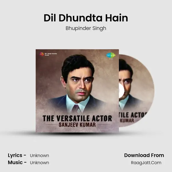 Dil Dhundta Hain Cover